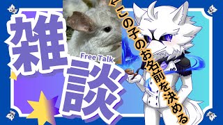 【雑談配信】少佐の家のチンチラのお名前決定式！！