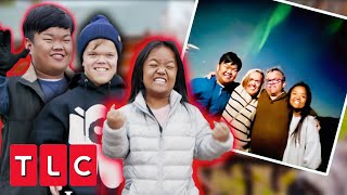 The Little Johnstons See The Northern Lights For The First Time | 7 Little Johnstons