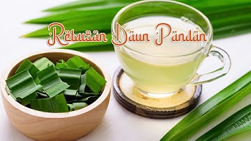 Manfaat Rebusan Daun Pandan dan Potensi Efek Sampingnya