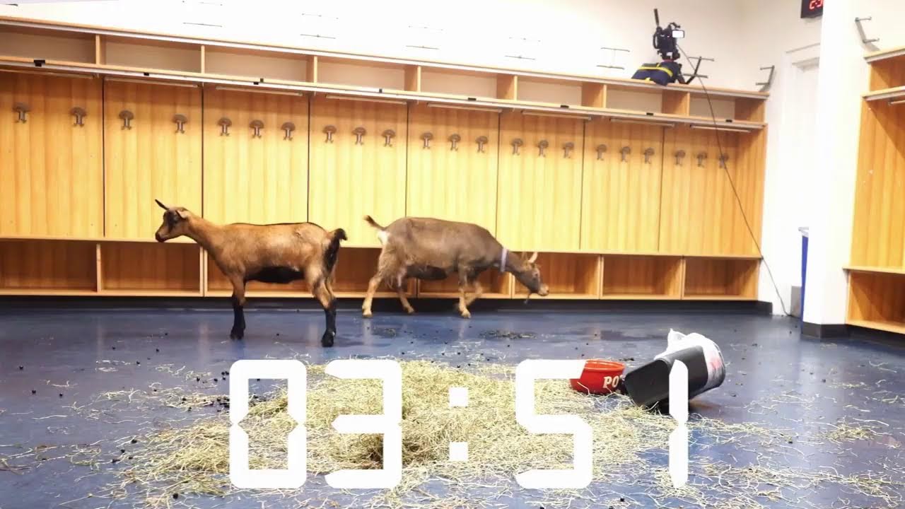 Return of the Goat: Sabres Unveil Throwback Third Uniform