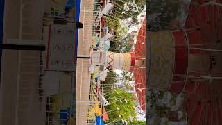 🎠🎢🎡 Jhoola Khilaaye Ye #youtubeshorts #lifeisbutadream #shortsfeed