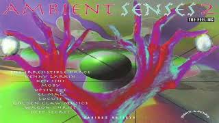 V.A. - Ambient Senses 2 (The Feeling) | Full Mix