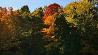Autumn at Upper Fountain Park