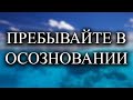 Как действовать в этом мире?