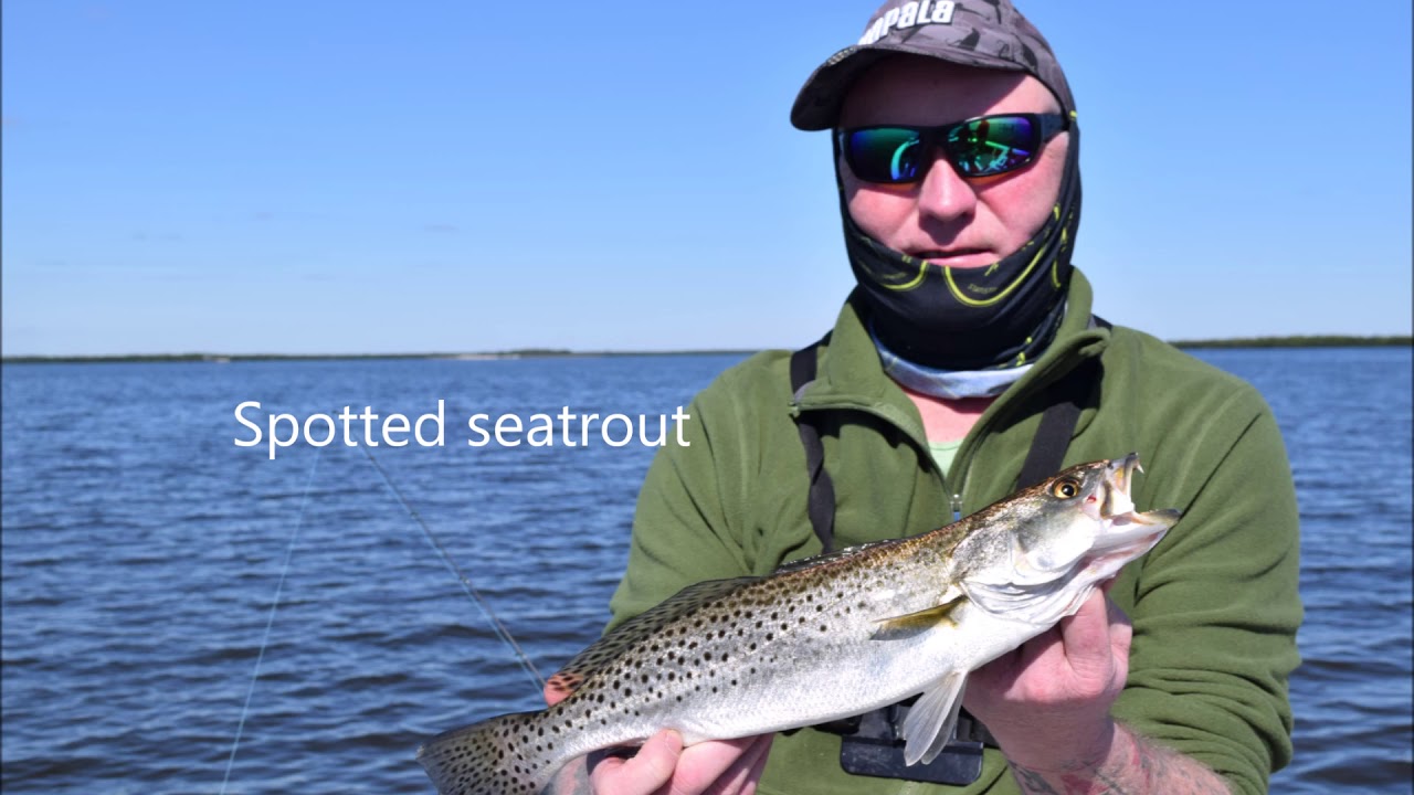 Destin 5 offers crescent beach 4 offers crystal river 4 offers. Fishing Trip Florida Part 3 YouTube