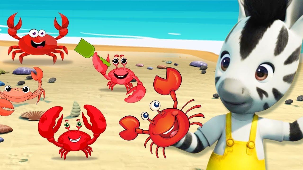 ⁣Zou And The Hermit Crab🦀 | Cartoon For Kids | Zebra Cartoon | Bedtime Stories | Zou in English