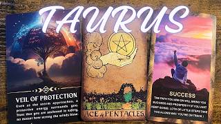 TAURUS: You’re On The Right Path! Prosperity & Success Headed Your Way! 💫 Tarot July 2026