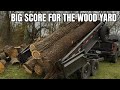 Saturday Wood Haul