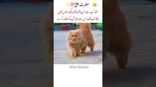 When Allah Takes, He Gives Better #deeplines #thoughts #poetry #islamicshorts #viral