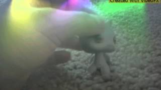 Test Video With No Hands