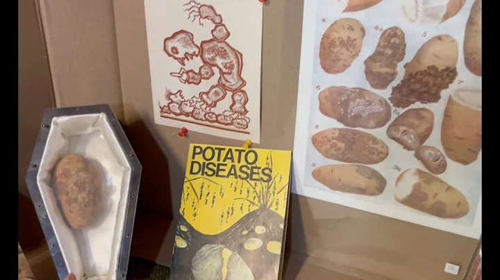 Pink/Black Rot, Early/Late Blight, Scurf, Mop-Top Virus: Some of the Diseases that Attack Potatoes