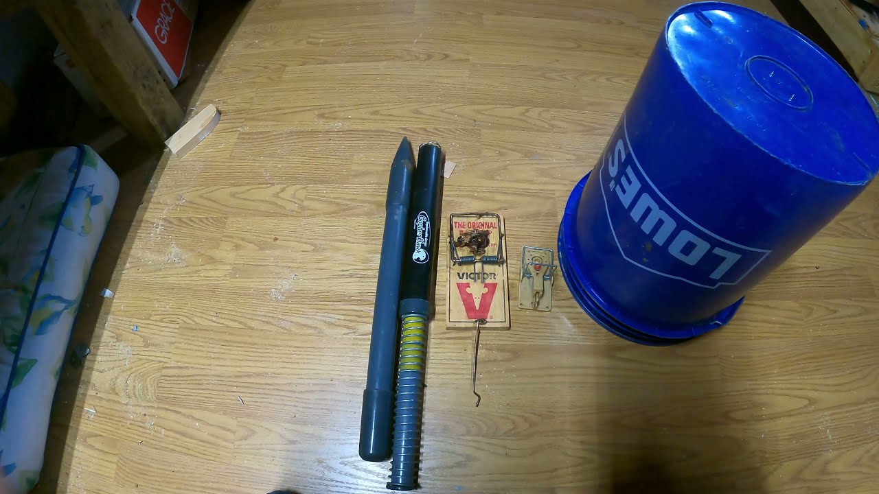 DIY Mole trap Does it work!!!! YouTube