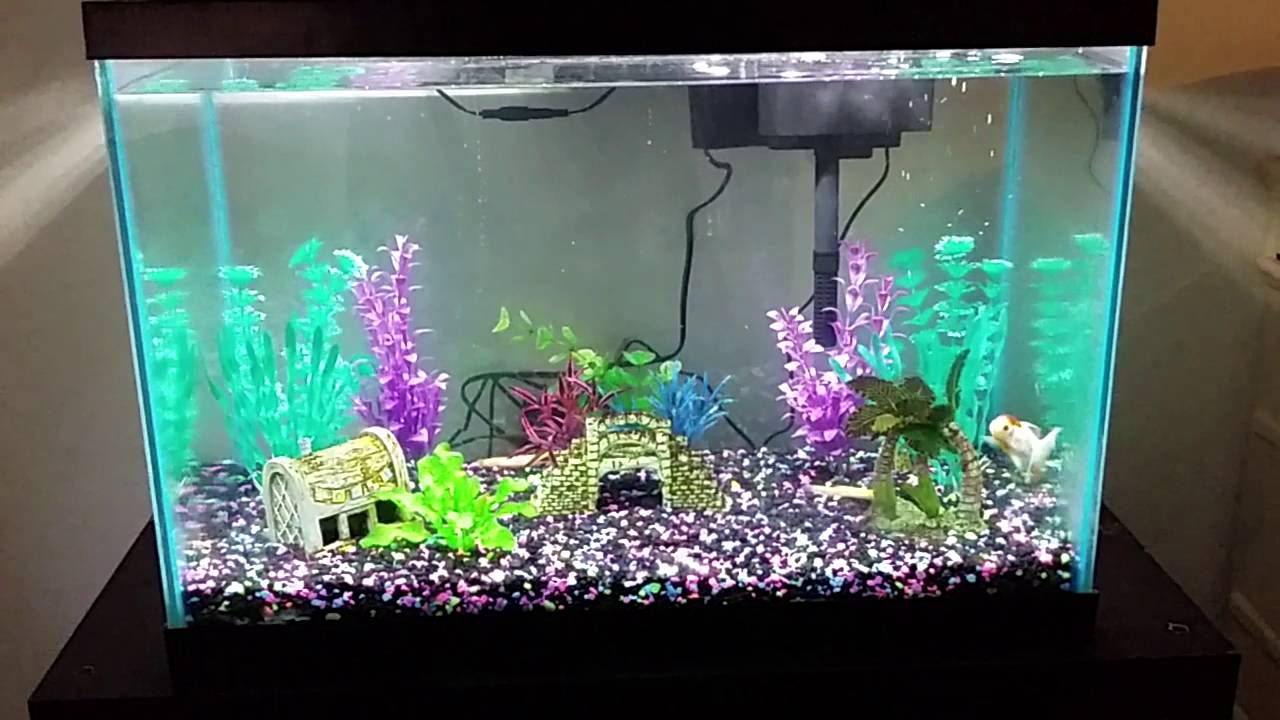 Entry Level Aquarium (Fish Tank) 5 Gallon, 20 Gallon & 50 Gallon - Youtube