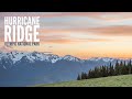 Hurricane Ridge - Olympic National Park - Travel P by PhotographyTV