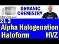 Alpha Halogenation and Related Reactions Quiz