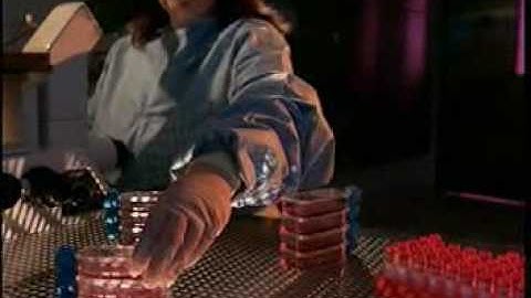 Bristol -Myers Squibb