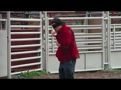 Jackass Number Two 2006 Yak Charge
