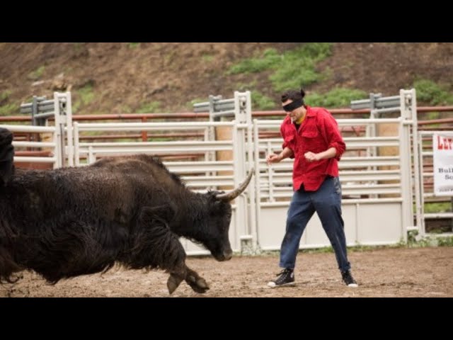 Jackass Number Two (2006) - Yak Charge - YouTube