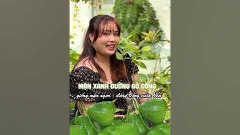 Mận xanh đường gò công, giống hiếm khó tìm, giá bán cao