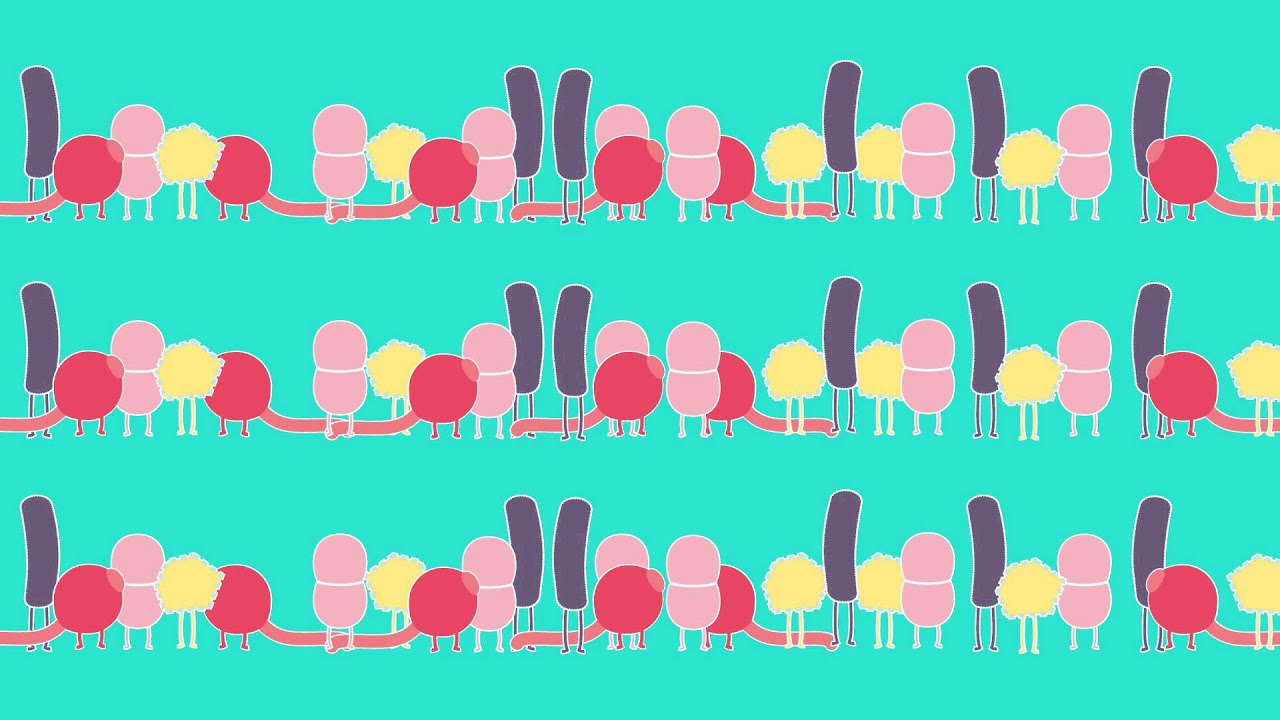 The Human Microbiome