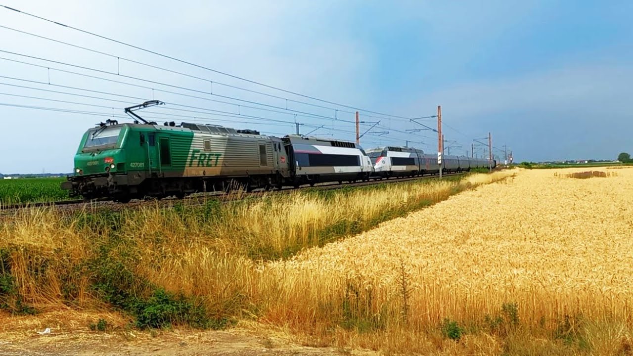 Une superbe journée pleine de CMR en Alsace !