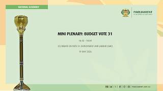 Mini Plenary: Budget Vote 31, Department of Employment and Labour 19 May 2026