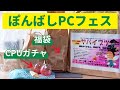 ぽんばしPCフェスでいろいろ買ってきたので開封する【ジャンク】