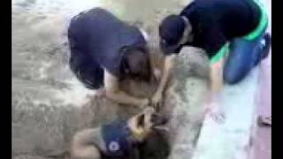Video0010.3g2