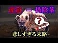 【ゆっくり解説】メスなのに男性器を持つ？ハイエナ　残酷過ぎる出産　長過ぎた産道