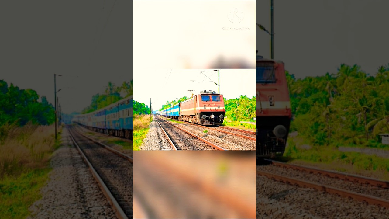 New express train station 2025 new express train station 2024 