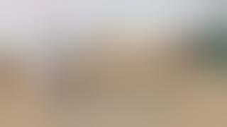 काम्या महाराष्ट्रातील रागीट वासरे  पैदास नाद खुळा