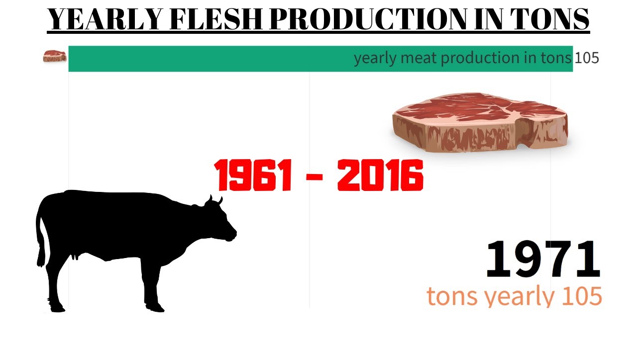 YEARLY meat production in TONS (1961 2016) WORLDWIDE! YouTube