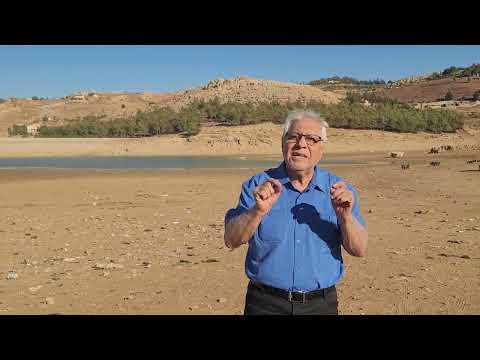 زرزر بلا ماء والحرية تنتزع ولا تمنح