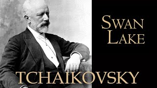 Tchaikovsky - Swan Lake, Op  20a, X Scene (Mood Video)