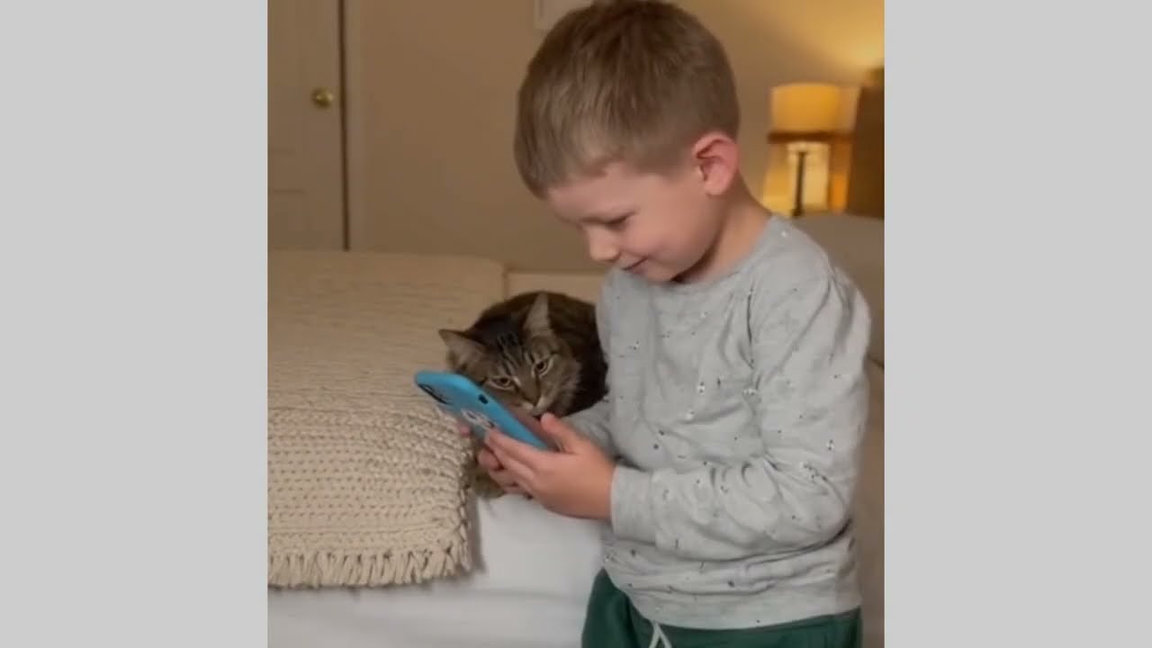 Brave Mother Cat Fights Off Fox to Save Her Kitten! 🦊🐱