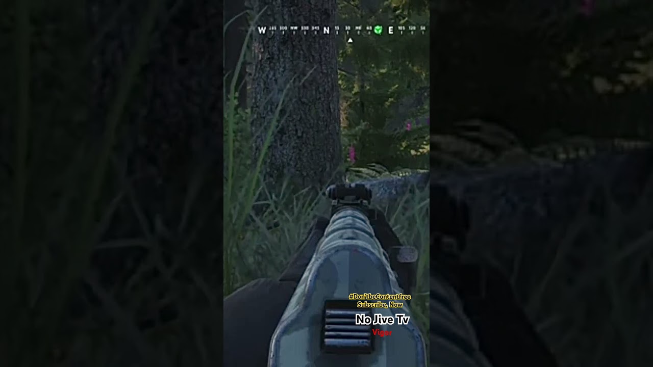 🤫 VIGOR: The Hunter's Silent Symphony | You Won't See Me Coming...