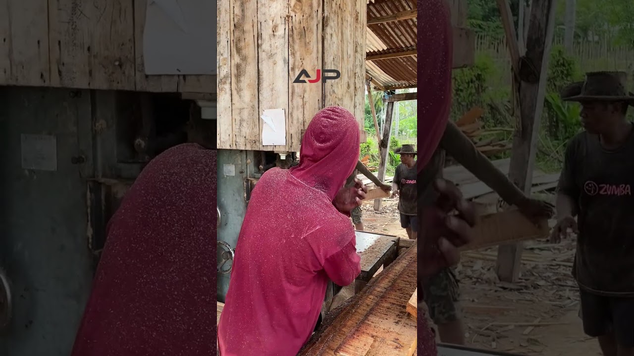 cutting the wood plank very fast and precise 