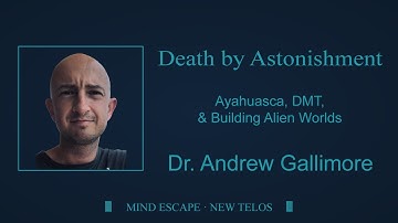 Andrew Gallimore on Death by Astonishment | Ayahuasca, DMT, & Building Alien Worlds