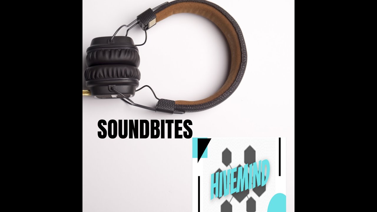 Hivemind SOUNDBITES 4