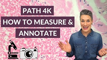 How to photograph and measure under the microscope with the Path4K microscope camera