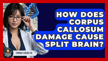 How Does Corpus Callosum Damage Cause Split Brain? - Strange Science HQ