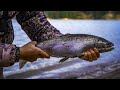 Feisty winter river rainbow trout catch clean cook  bait fishing the spokane river
