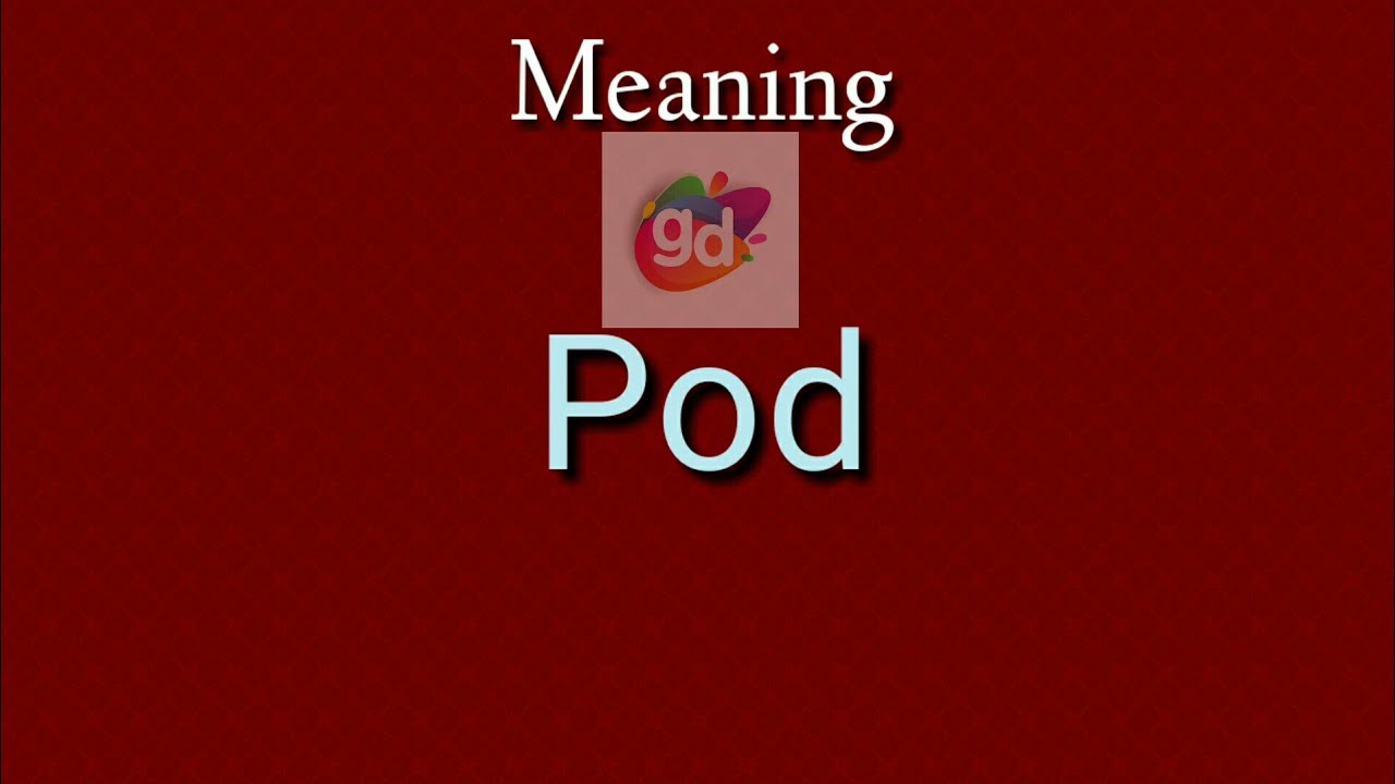 Pod(vegetable) Meaning//Googul Dictionary// YouTube