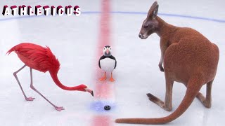 Final Match Athleticus Cartoon In English
