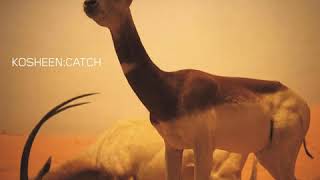 Video thumbnail of "Kosheen - Catch (Original Radio Mix) [HQ AUDIO]"