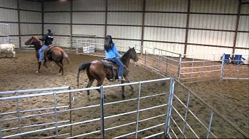 Valley View Ranch "Sonofagun" in training 11/25/11 sorting w owner 2nd in #6 class 56.98 on 7 final