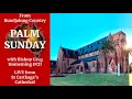 Palm sunday 2023 live  bishop greg homeming  st carthages cathedral lismore