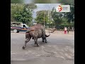 "Uhuru Park Sculptures Relocated to Kenyatta Avenue | Nairobi's Iconic Art on the Move"