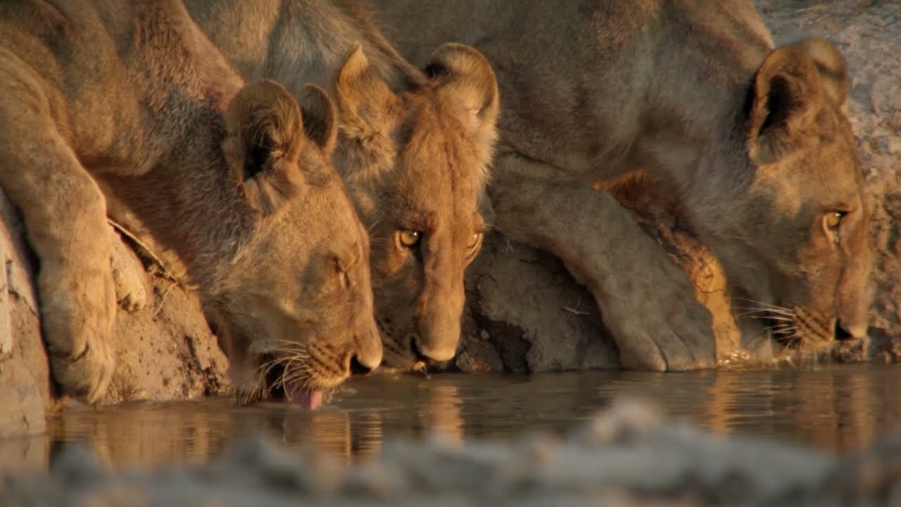 Starting 2 August | Hostile Waters | National Geographic MENA