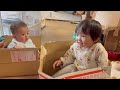 やすおか命の牧場【新章19】いおちゃんと爆笑の赤ちゃん